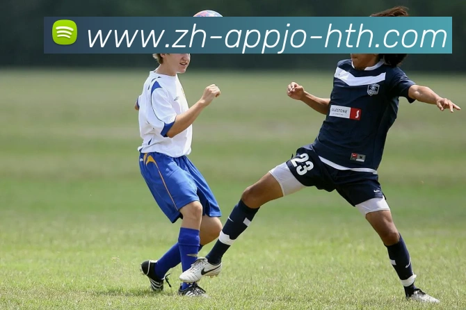 华体会hthAPP 封面图